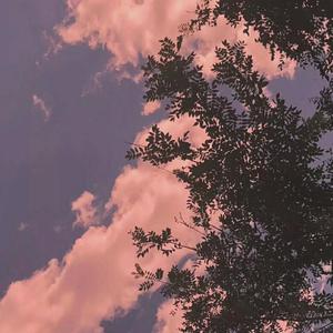 操国产老女人在线视频
