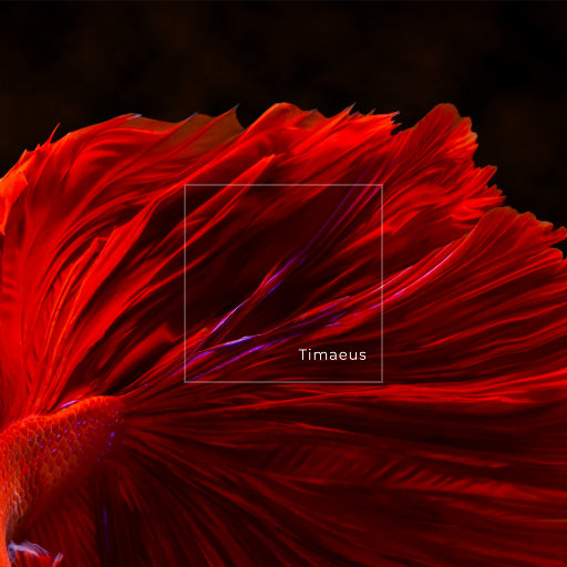 操国产老女人在线视频
